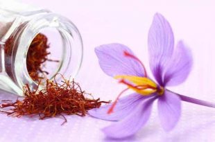 cộng dụng làm đẹp của saffron